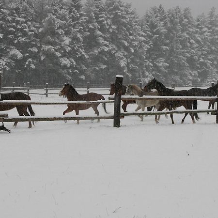 Penzion-Ranc u Trapera Hrabušice Esterno foto