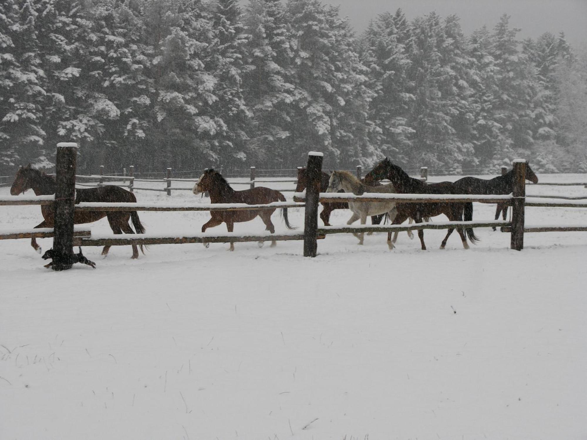 Penzion-Ranc u Trapera Hrabušice Esterno foto